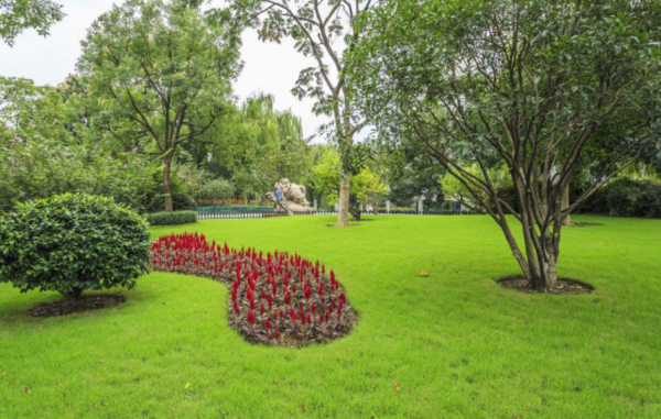 上海绿化公司注册,哪些名称最好不要用?