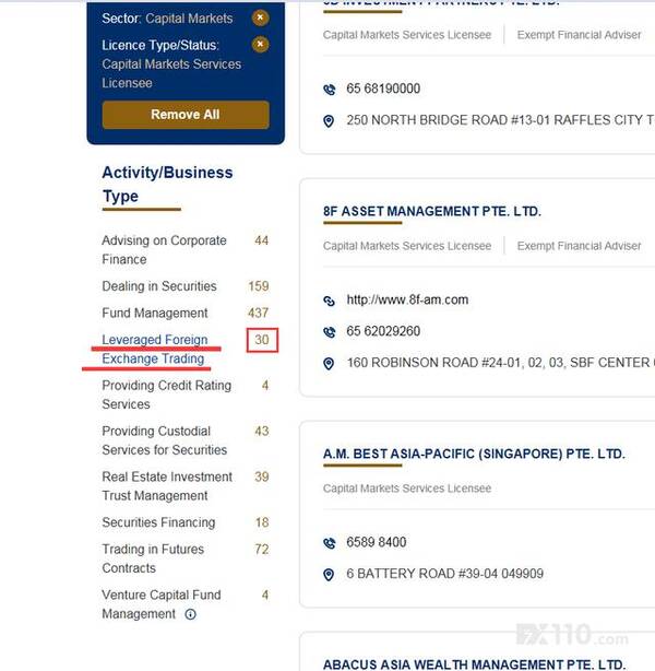 全解新加坡MAS外汇监管查询流程