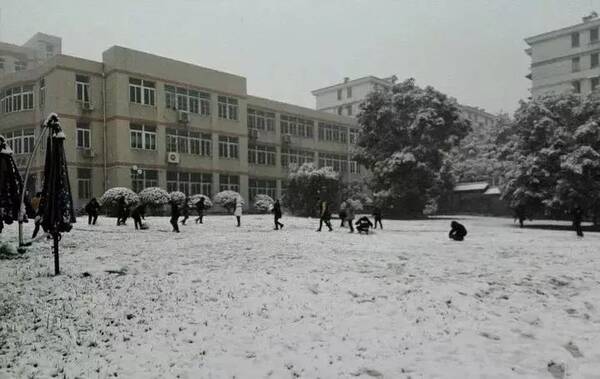 金华各大校园雪景大PK!都好美,有你的学校吗?
