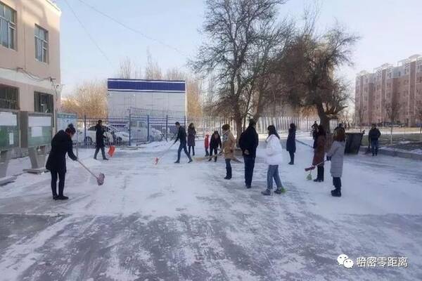 返乡大学生社会实践忙