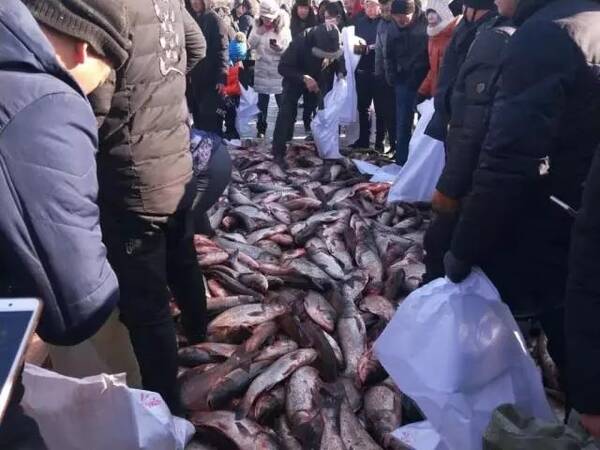 大美龙江|泰来嫩江冬捕节 鱼跃2018幸福年