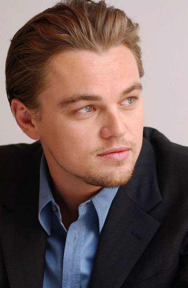 所以才给小李子起名 leonardo dicaprio,而 达芬奇的全名是 leonardo