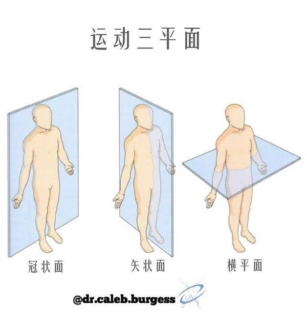 矢状面、轴心:深入健身中的多关节复合型训练