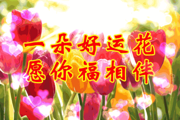 今天大年初七,清晨的第一声问候,一首好听的歌,送给在乎我的人,听醉了
