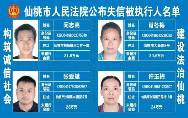 胡场镇人口_人口普查图片(3)
