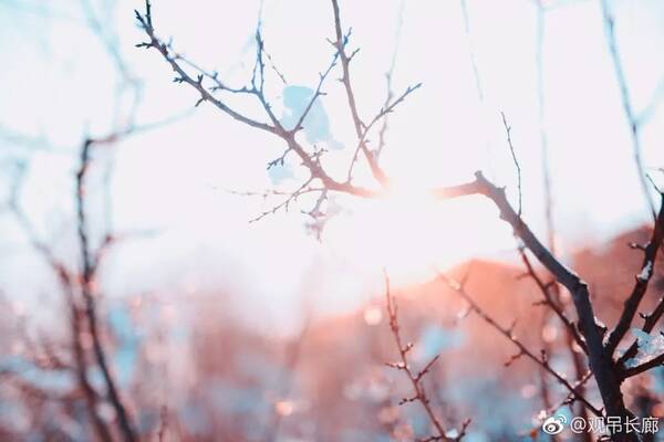 雪的洗礼 春的气息--《风物辽宁》带你感受冰雪