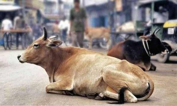 为什么gdp增长要保持百分譄_上半年我国各省区市GDP盘点 增速放缓 西高东低(3)