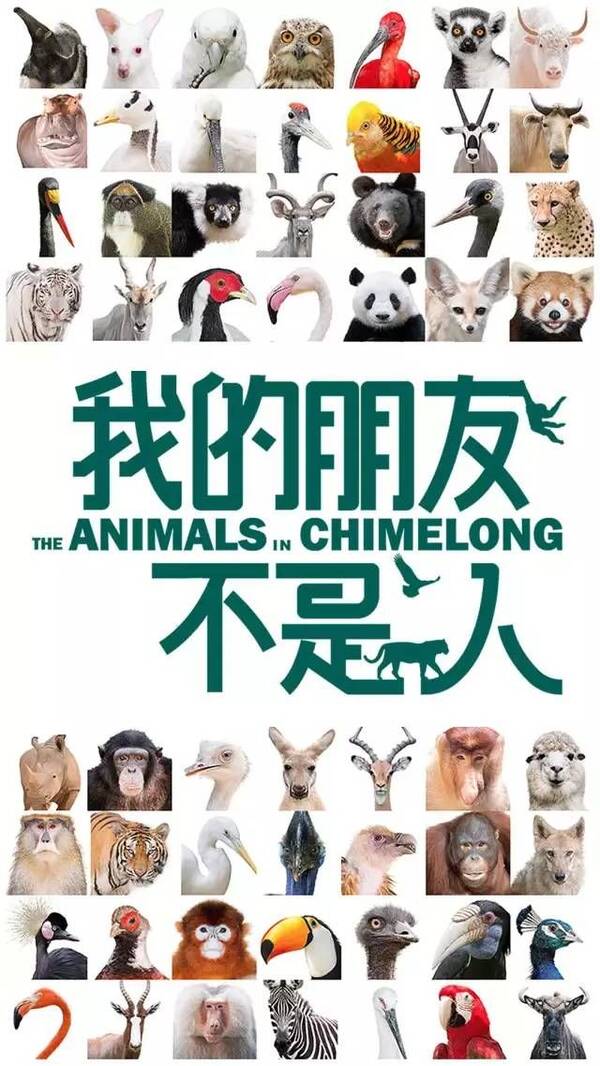 涉及动物的纪录片, bbc出了不少 质量精准,逼格很高的纪录片, 但是