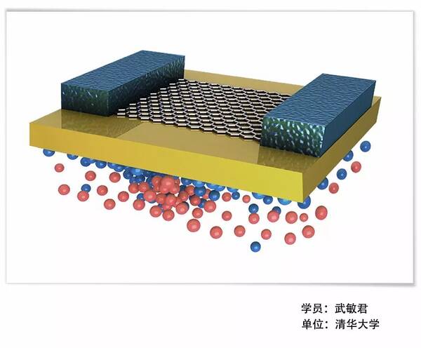 SCI论文配图\/科技绘图 专题培训