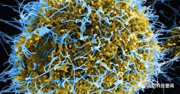 美国生物防御蓝带研究小组发布报告建议 改革