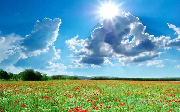 韵动流声丨老飞鱼:春风吹