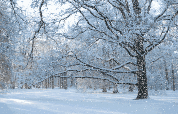 北京终于下雪了!啦啦啦啦啦啦啦