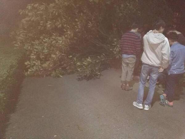 邵东七中遭遇强对流天气