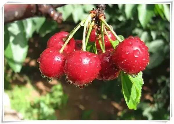 昭通直飞西双版纳、西安航班即将开通~这份游