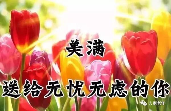 最美的祝福送给你,愿你好运常来,幸福常在!