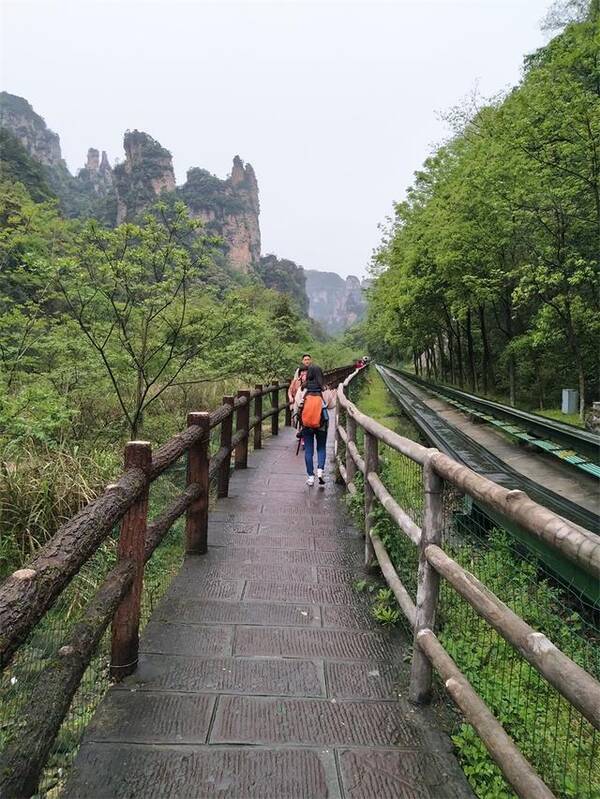 深圳到张家界天门山玻璃桥(详细)攻略,单请导游