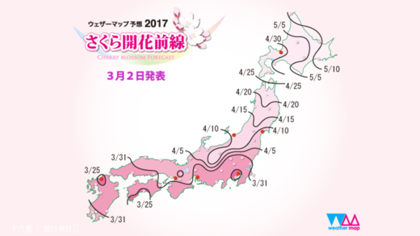 大阪的樱花已盛开,4月我们去日本吧!