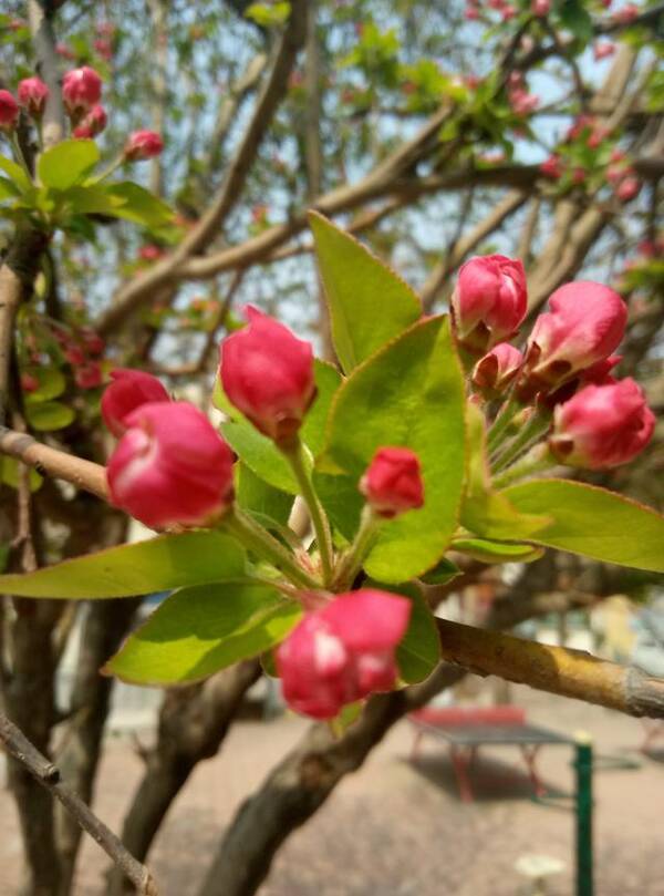 预测大乐透第2018039期推荐号码,本期有重号码