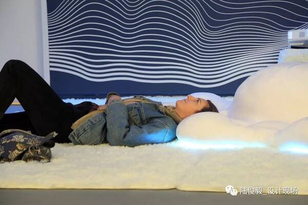 018 美国马里兰艺术学院平面设计硕士生毕业作