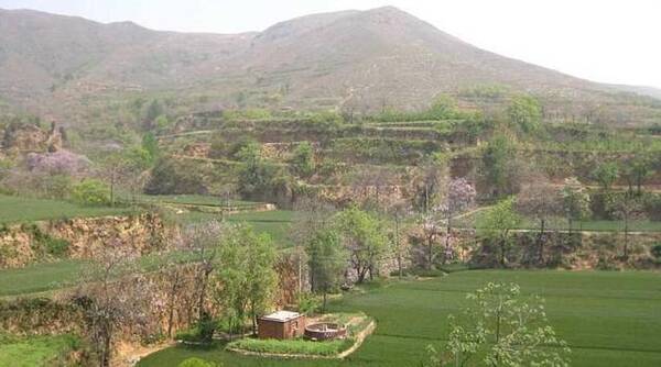 河南9岁小孩挖出朱元璋儿媳墓,专家赶到:十三