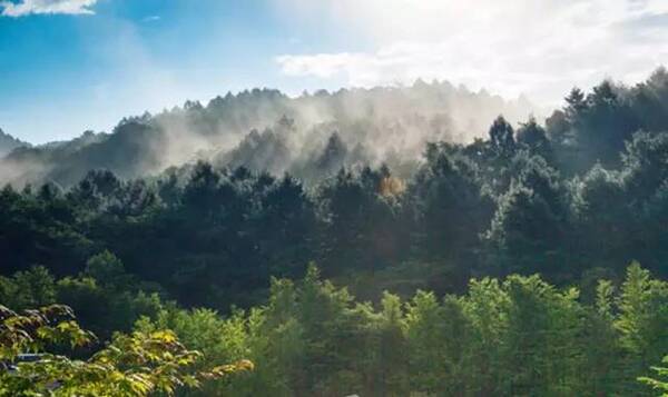 那些宫崎骏动画的取景地,去日本收获满满的童