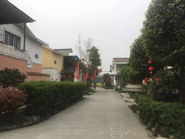 【卖春】浙江攻略靠致富笋做的小物品,一个月零食大姐饥荒图片
