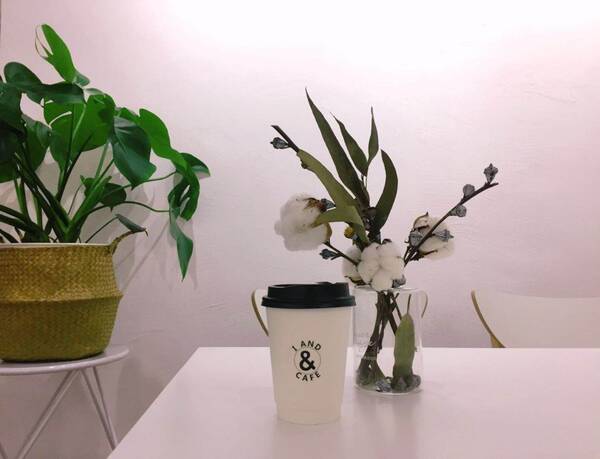 夜深了~我们来聊聊到底怎样才能一夜暴富吧!