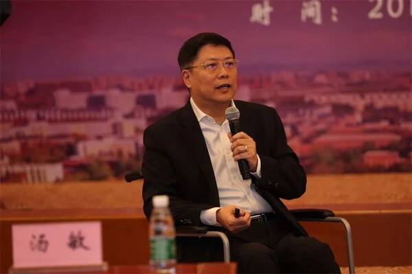 汤敏先生当选中国慈善联合会乡村振兴委员会主