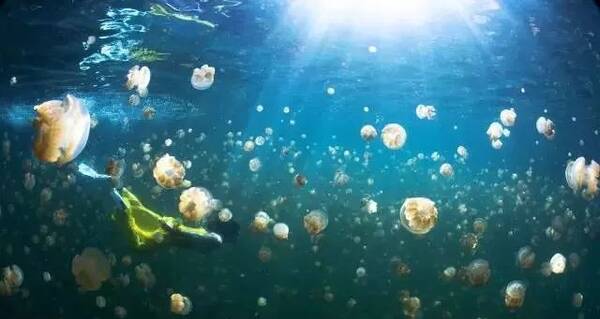 国内首部潜水感悟书籍:10年时间,她从潜水菜鸟