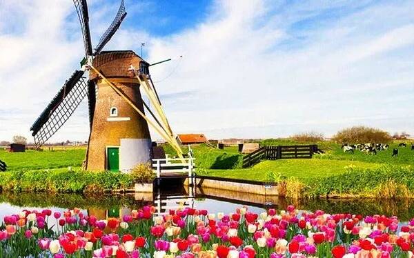 2018全球幸福指数出炉!新增移民指数,移民幸福