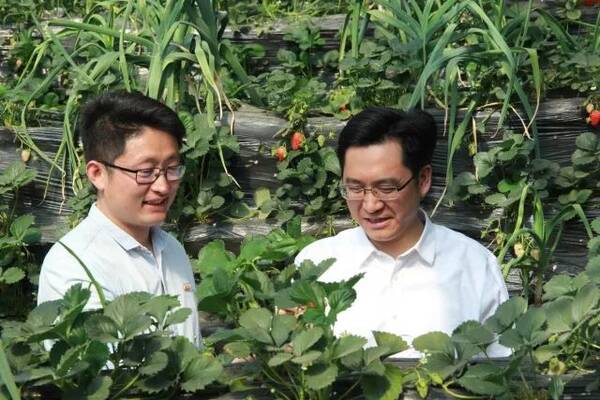 相见or偶遇丨团省委班子成员赴三联四促下沉