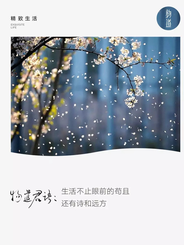 高晓松在杭州开了家天堂图书馆,能让你拥有诗