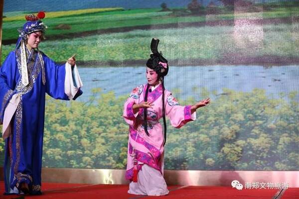 南郑县碑坝镇_南郑县财政收入(2)