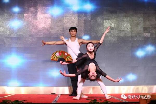 南郑县碑坝镇_南郑县财政收入(2)