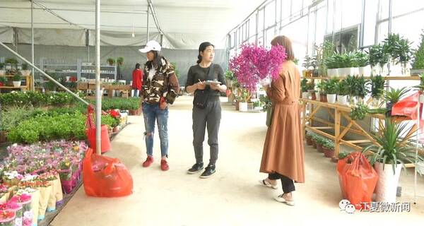 新闻|阅读两分钟 知晓江夏事[2018年5月1日]