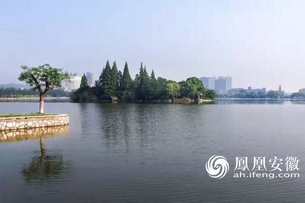 gdp增速_2018年地级市gdp