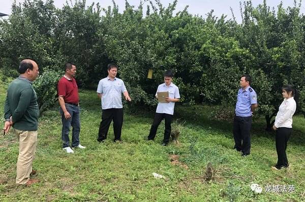 柳州基层法庭服务乡村唱响悯农歌