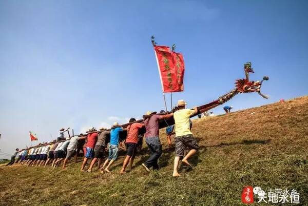 定了!鹤山古劳水乡传统龙舟赛将于6月上演!龙