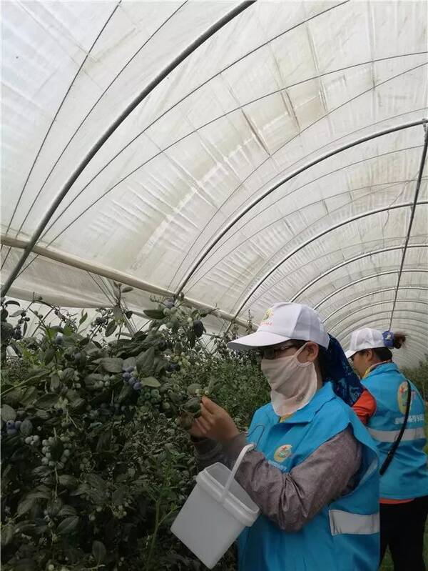 西双版纳国企首建劳务派遣公司