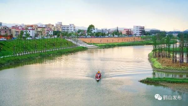 定了!鹤山古劳水乡传统龙舟赛将于6月上演!龙