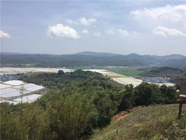 西双版纳国企首建劳务派遣公司