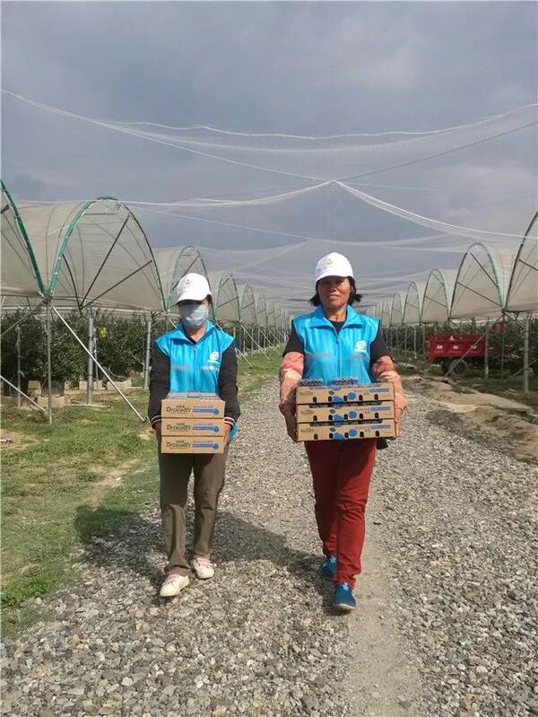 西双版纳国企首建劳务派遣公司