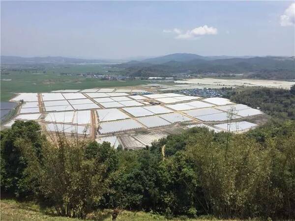 西双版纳国企首建劳务派遣公司