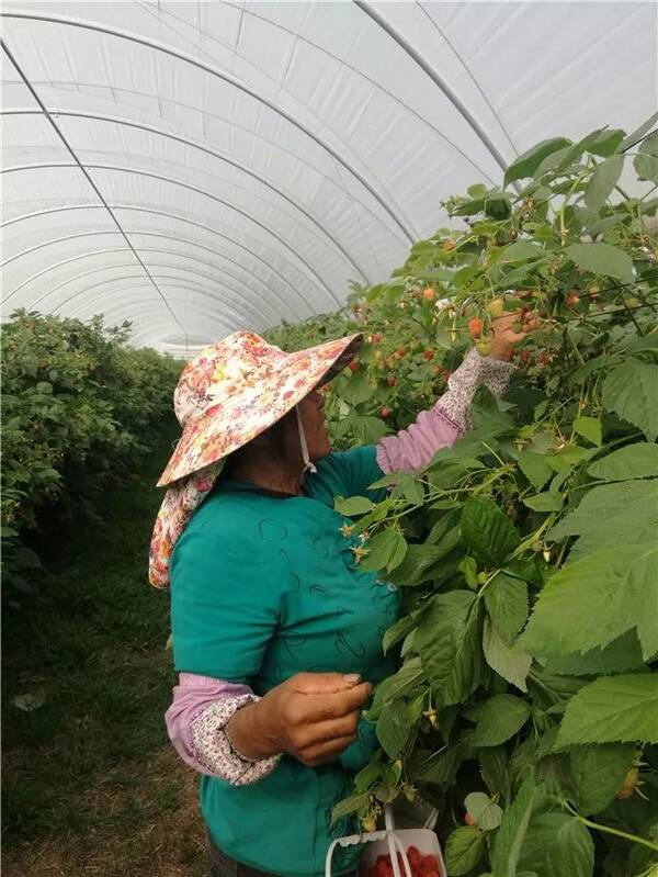 西双版纳国企首建劳务派遣公司