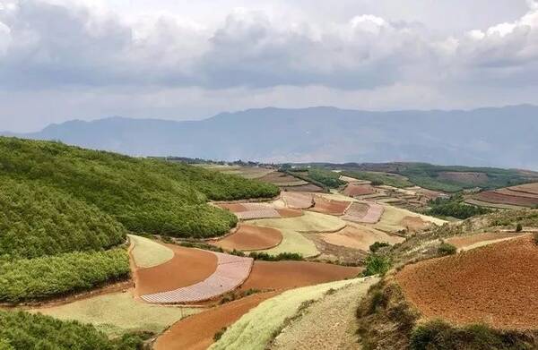 风情不输巴西还免费,这个地方5月迎来颜值巅峰