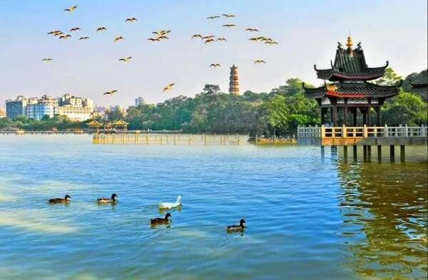 深圳出发, 高铁1小时直达! 这些城市都是周末游