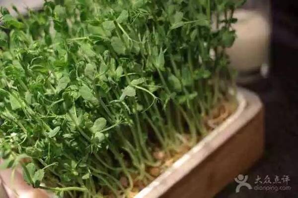 食材展示有方法,单摆浮搁惹笑话