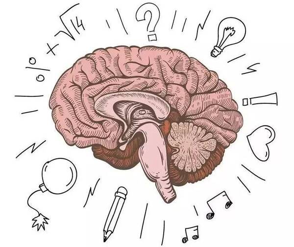 男孩女孩大脑的不同,在胎儿期就已经决定了