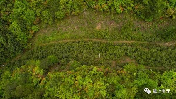 感恩~说出你所想 | 我的父亲主题征文启事