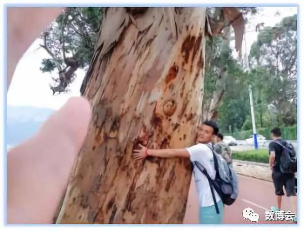 服务数博 今年有我 --2018数博会志愿者新面孔